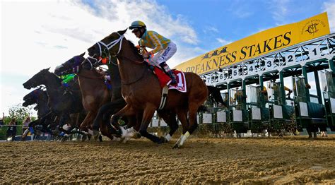 preakness entries today.